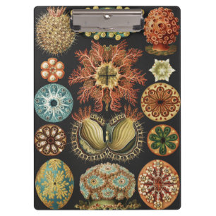 Porte-bloc Collage d'art de la vie marine nautique d'Ernst Ha