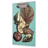 Porte-bloc Collection de coquillages turquoise et de coraux r (Gauche)