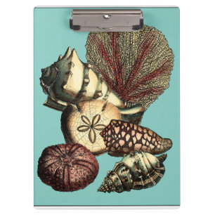 Porte-bloc Collection de coquillages turquoise et de coraux r
