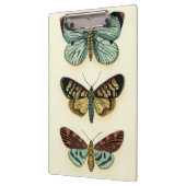 Porte-bloc Collection de papillon par Chariklia Zarris (Gauche)