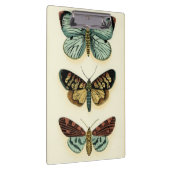 Porte-bloc Collection de papillon par Chariklia Zarris (Swatch)