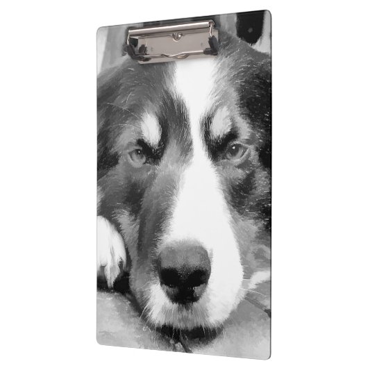 PORTE-BLOC COLLIE FRONTALIÈRE (Gauche)