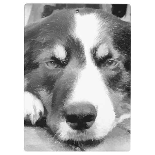 PORTE-BLOC COLLIE FRONTALIÈRE (Dos)