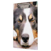 PORTE-BLOC COLLIE FRONTALIÈRE (Gauche)
