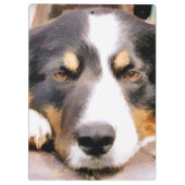 PORTE-BLOC COLLIE FRONTALIÈRE (Dos)