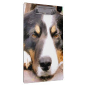 PORTE-BLOC COLLIE FRONTALIÈRE (Swatch)
