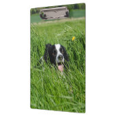 Porte-bloc Collie noir et blanc dans l'herbe (Gauche)
