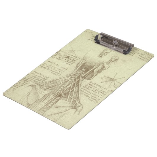 Porte-bloc Colonne de colonne vertébrale de l'anatomie humain (Incliné)