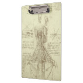 Porte-bloc Colonne de colonne vertébrale de l'anatomie humain (Gauche)