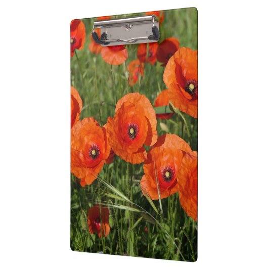 Porte-bloc Common Poppies (Gauche)