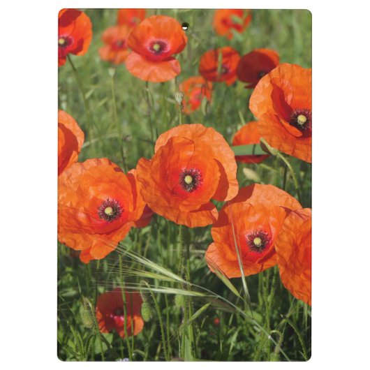 Porte-bloc Common Poppies (Dos)