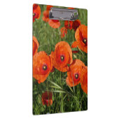 Porte-bloc Common Poppies  (Swatch)