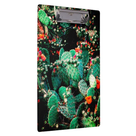 Porte-bloc Cool Porte - bloc Cactus (Swatch)