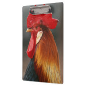 Porte-bloc Coq domestique de basse-cour (Gauche)