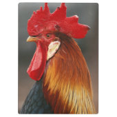 Porte-bloc Coq domestique de basse-cour (Dos)