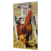 Porte-bloc Coq Rhode Island Red (Gauche)