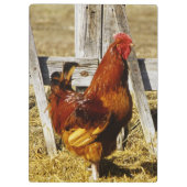 Porte-bloc Coq Rhode Island Red (Dos)