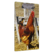 Porte-bloc Coq Rhode Island Red (Swatch)