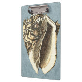 Porte-bloc Coque conique en pierre (Gauche)