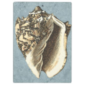 Porte-bloc Coque conique en pierre (Dos)