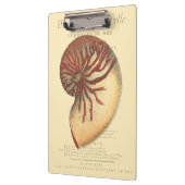 Porte-bloc Coque conique rouge vintage (Gauche)