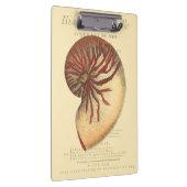 Porte-bloc Coque conique rouge vintage (Swatch)