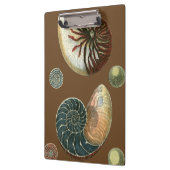 Porte-bloc Coque de cacao (Gauche)