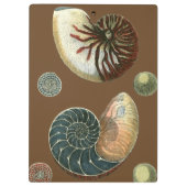 Porte-bloc Coque de cacao (Dos)