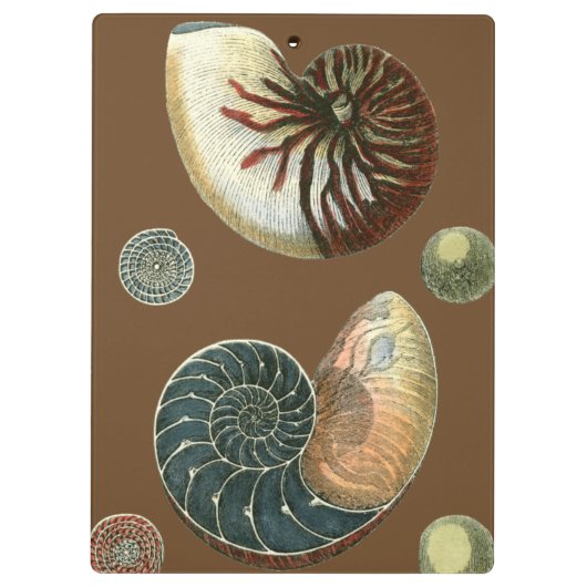 Porte-bloc Coque de cacao (Dos)