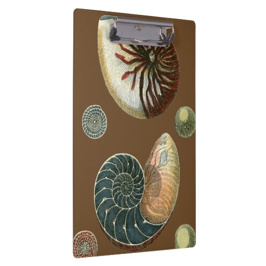 Porte-bloc Coque de cacao (Swatch)