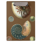 Porte-bloc Coque de cacao (Devant)