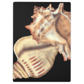 Porte-bloc Coques de conques artistiques (Dos)