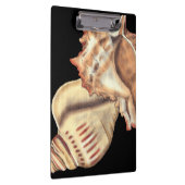 Porte-bloc Coques de conques artistiques (Swatch)