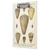 Porte-bloc Coques vintages (Gauche)