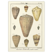 Porte-bloc Coques vintages (Dos)