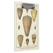 Porte-bloc Coques vintages (Swatch)