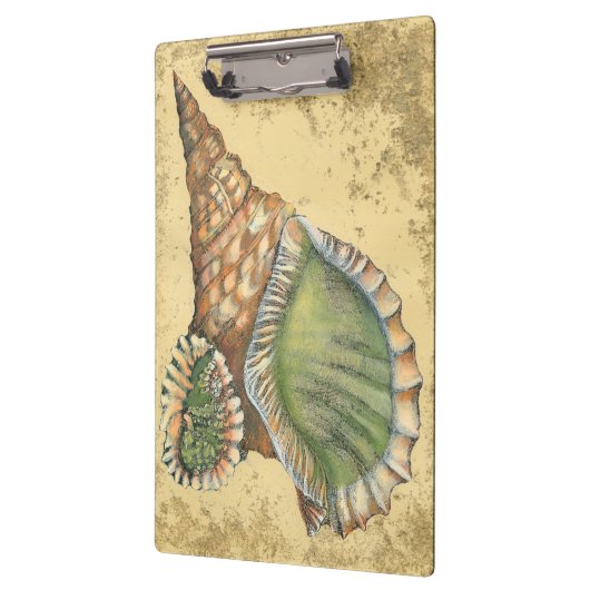 Porte-bloc Coquillage Brown et vert (Gauche)