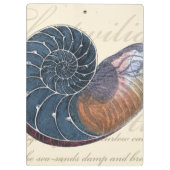 Porte-bloc Coquillage romantique (Dos)