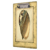 Porte-bloc Coquillage Vintage rustique (Gauche)