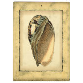 Porte-bloc Coquillage Vintage rustique (Dos)