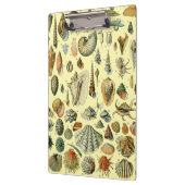 Porte-bloc Coquillages de coquillages Mollusk Clam Élégant Ar (Gauche)