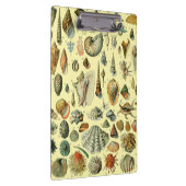 Porte-bloc Coquillages de coquillages Mollusk Clam Élégant Ar (Swatch)