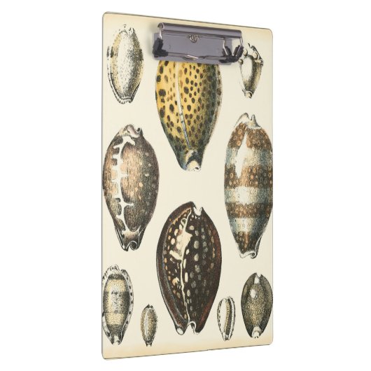 Porte-bloc Coquillages De Forme Unique (Swatch)