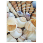 Porte-bloc Coquillages ensoleillés, Porte - bloc, Plage d'été (Dos)