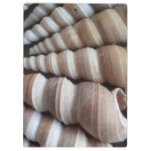 Porte-bloc Coquillages ensoleillés, Porte - bloc, Plage d'été (Dos)