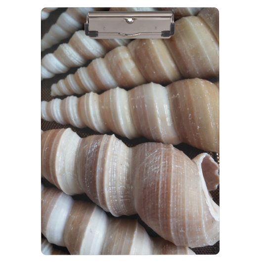 Porte-bloc Coquillages ensoleillés, Porte - bloc, Plage d'été (Devant)