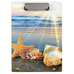 Porte-bloc Coquillages marins et étoiles de mer sur la plage