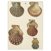 Porte-bloc Coquilles antiques craquelées (Dos)