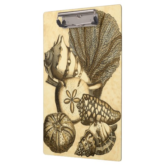 Porte-bloc Coquilles neutres et collection de corail (Gauche)