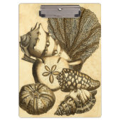 Porte-bloc Coquilles neutres et collection de corail (Devant)